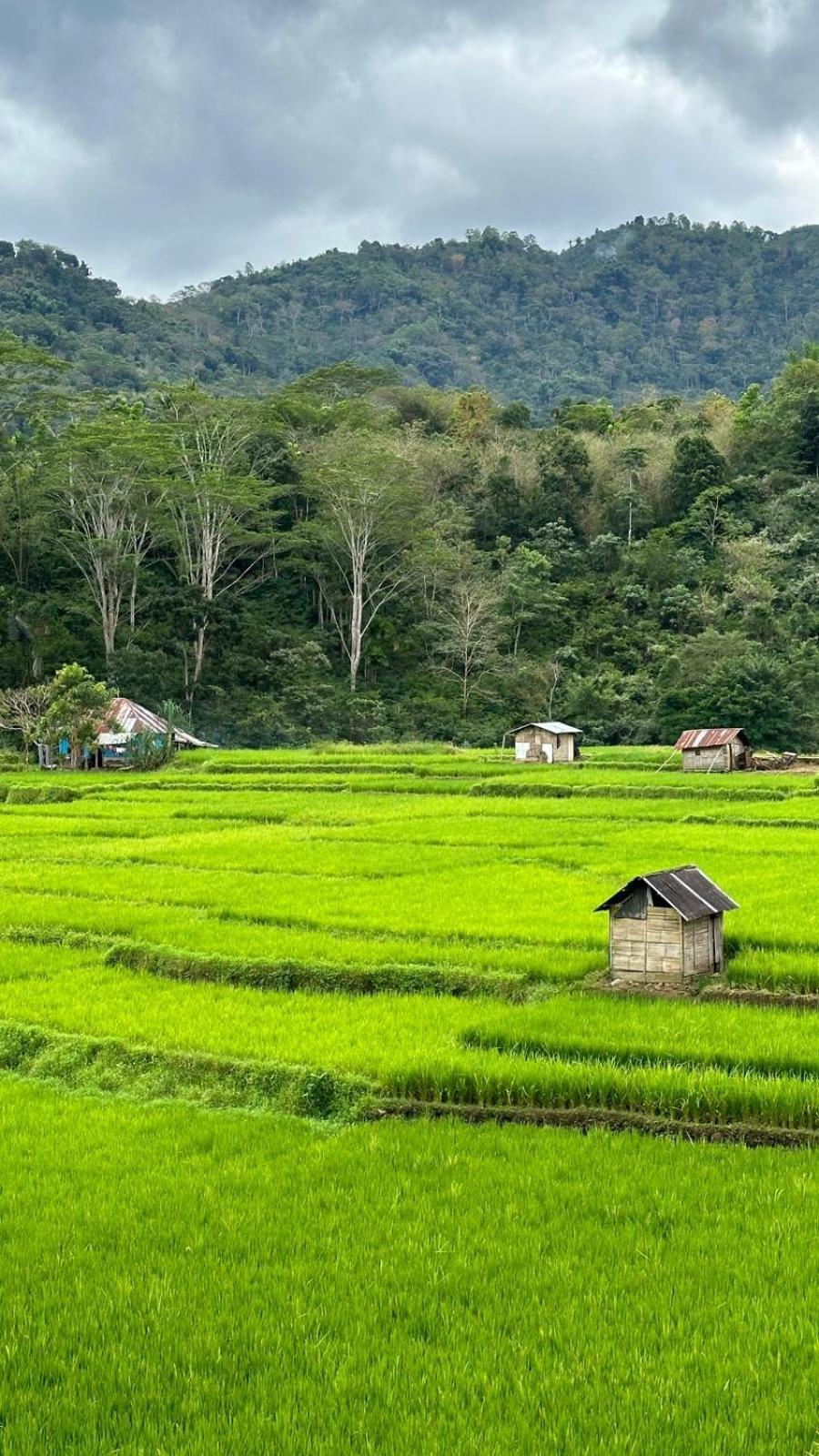 Petra Homestay Bangka Leda 루텡 외부 사진